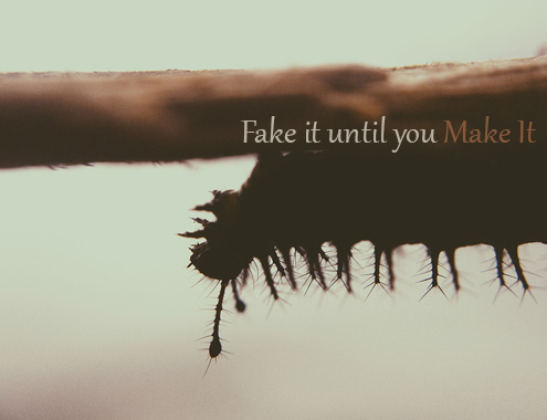 Image of a caterpillar, captioned Fake it until you make it